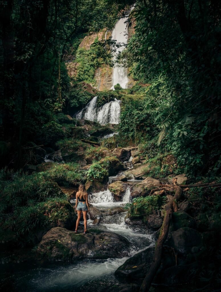 santa fe selva panama