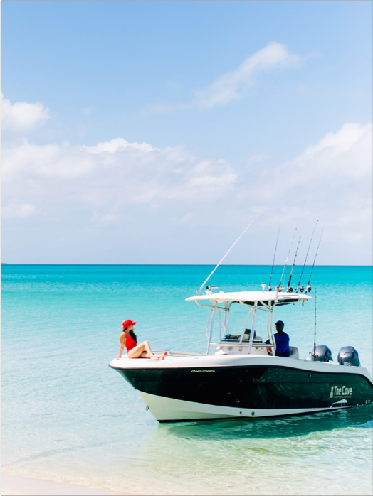 Best Hotels & Resorts in Eleuthera, The Bahamas: The Cove