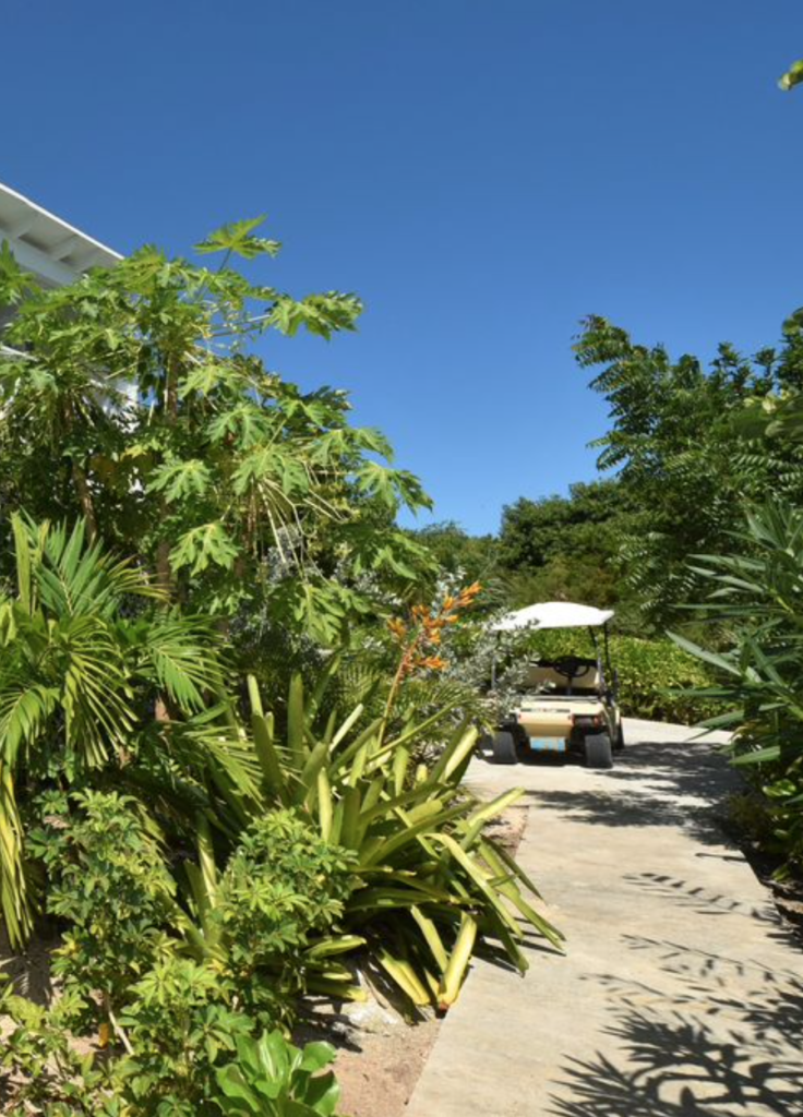 Best Holiday Rentals in Eleuthera, The Bahamas: Driftwood Cottages