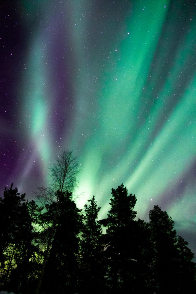 how to see the northern lights
