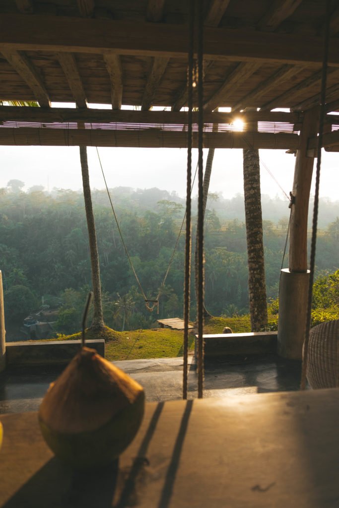 best hotels in ubud, bali