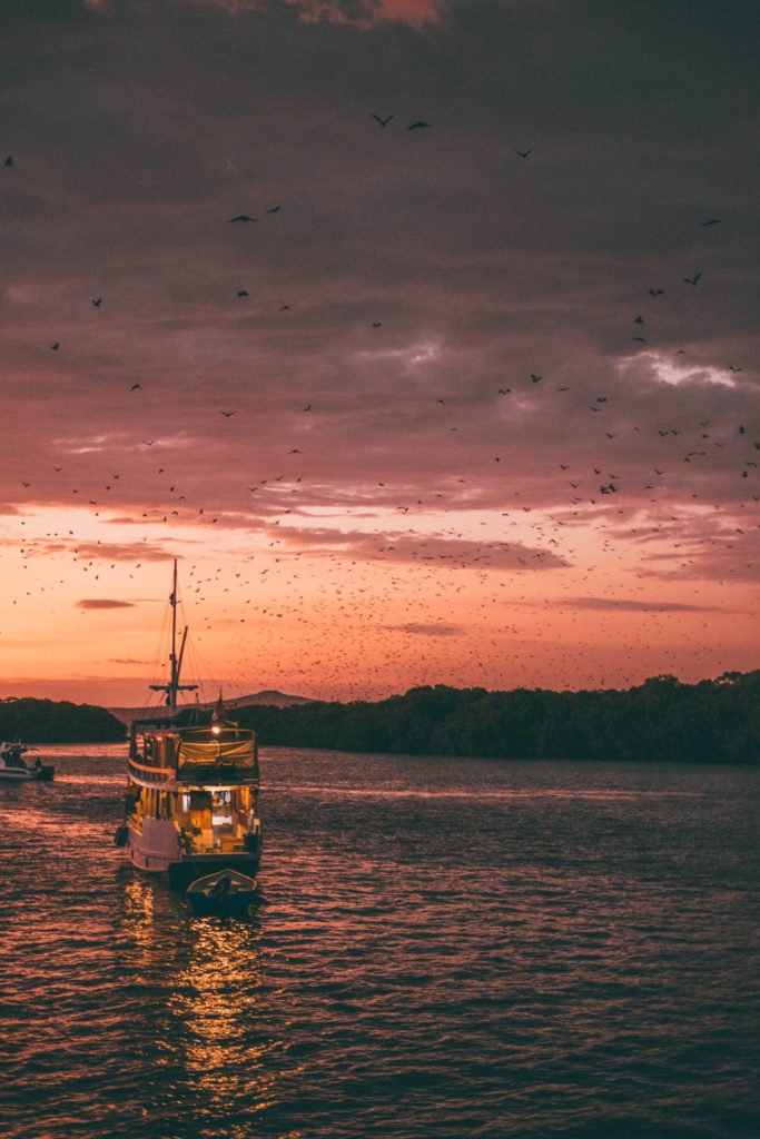 Komodo Islands travel guide