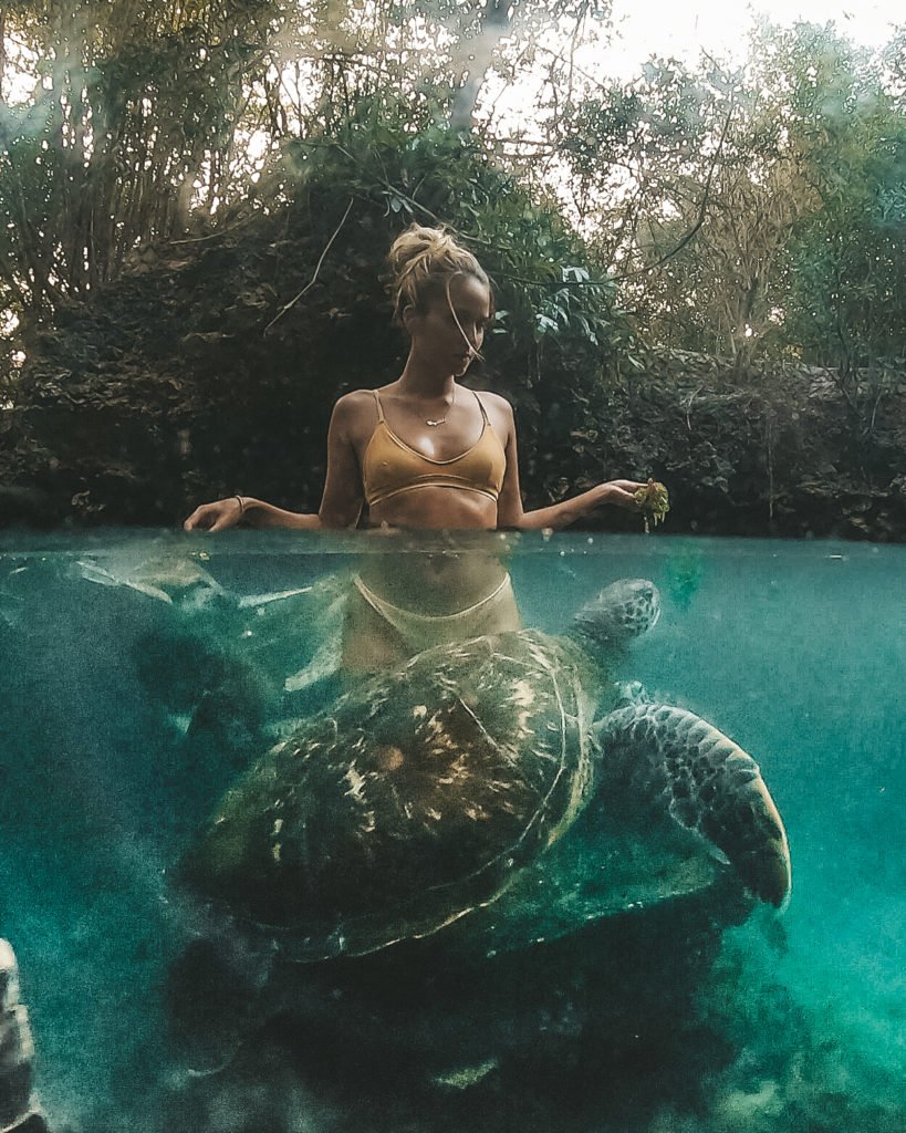 swimming with turtles in Zanzibar