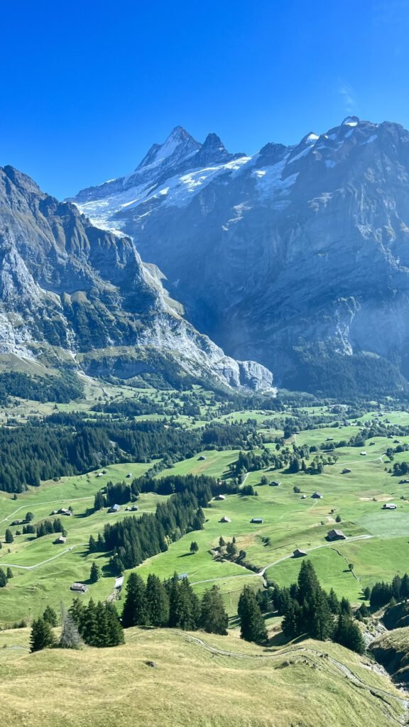 grindelwald suiza