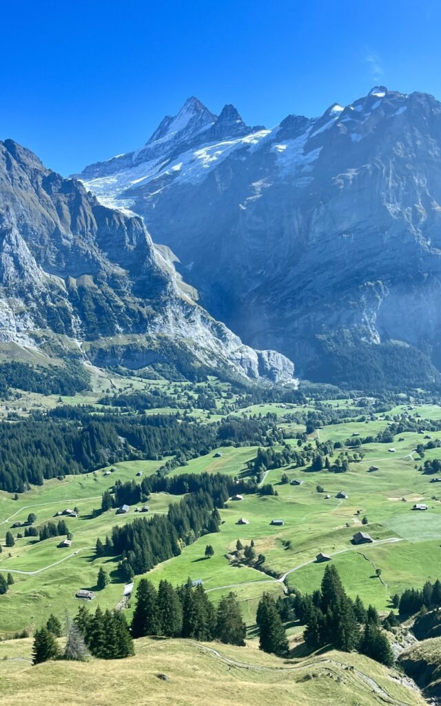 qué ver en suiza grindelwald