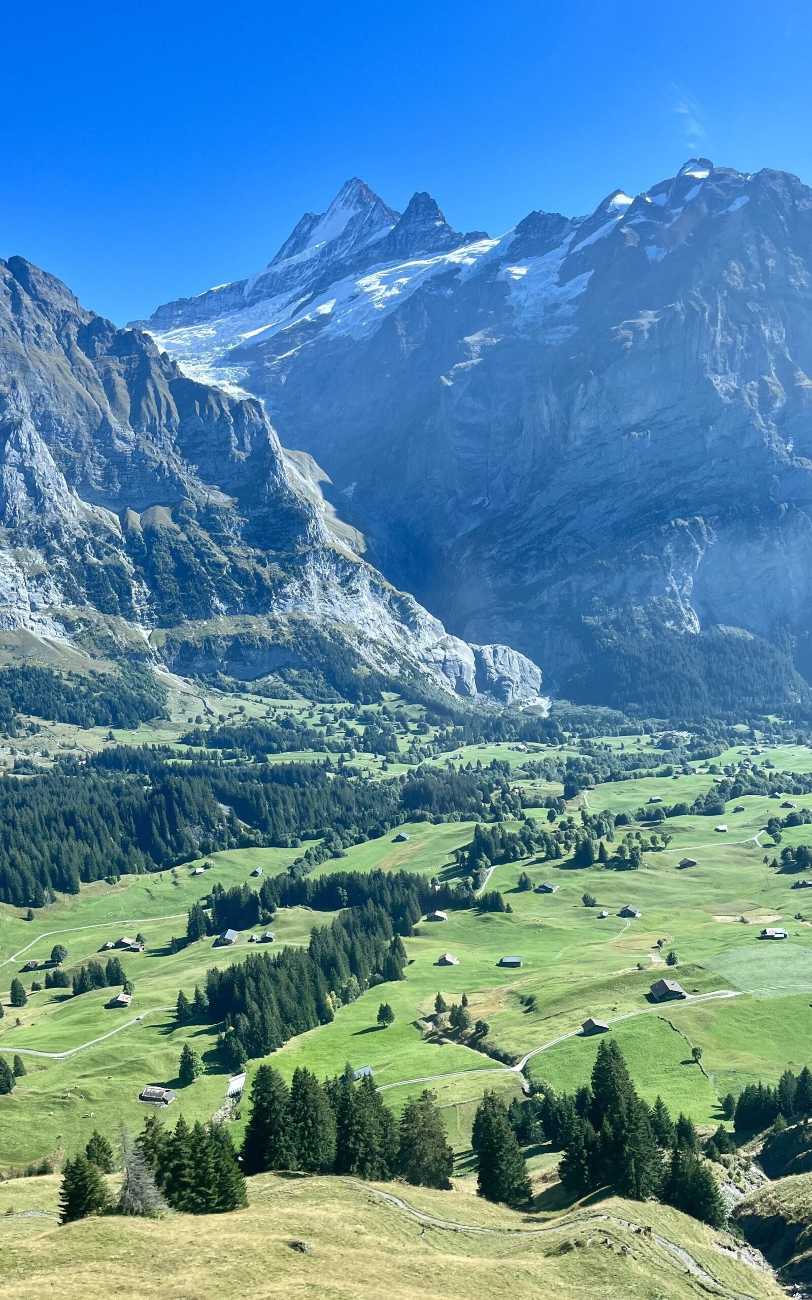 grindelwald suiza