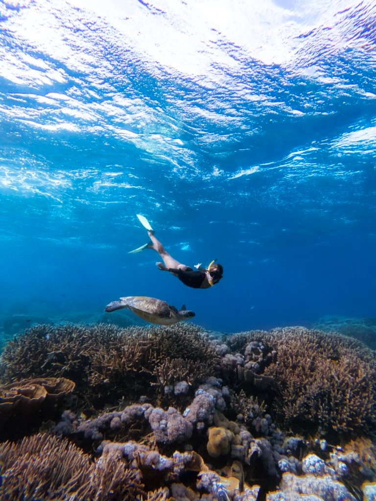 snorkeling komodo islands
