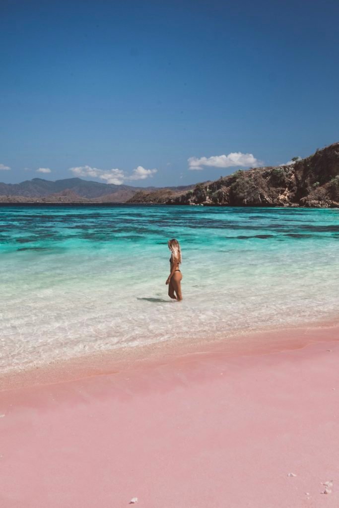 pink beach komodo islands