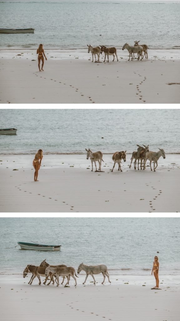 Zanzibar travel guide, things to do in Zanzibar, travel itinerary