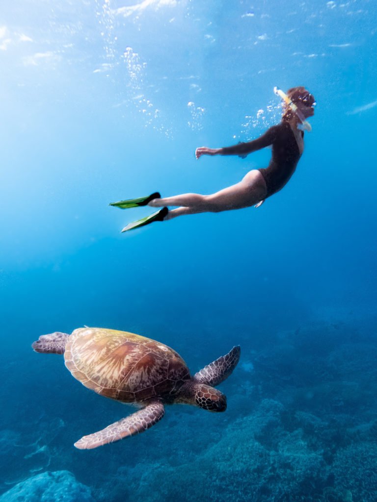 snorkeling komodo islands