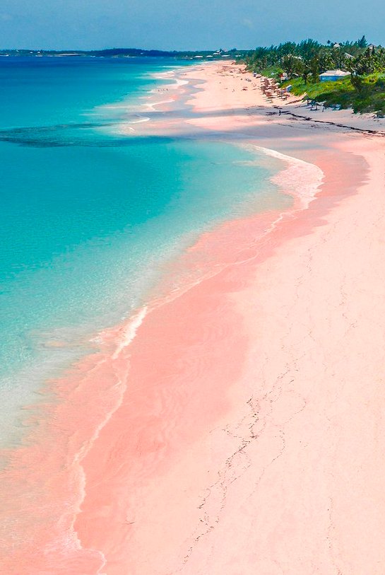 pink beach Harbour Island