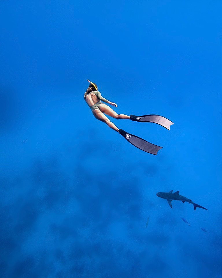 swimming with sharks in Nassau, Bahamas travel guide