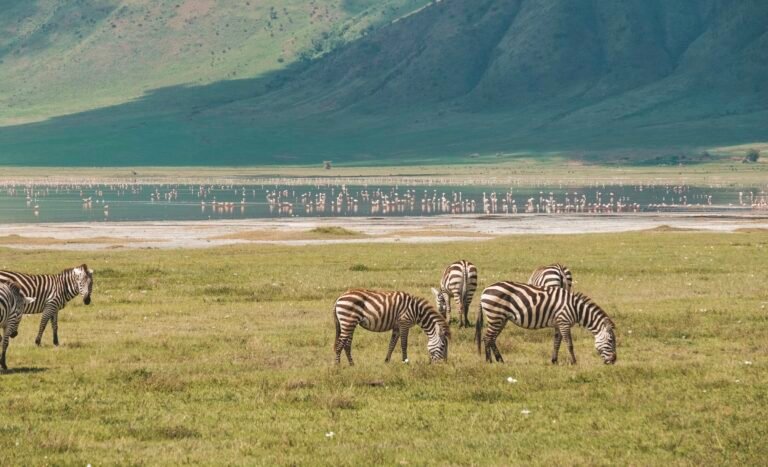 tanzania_headshot